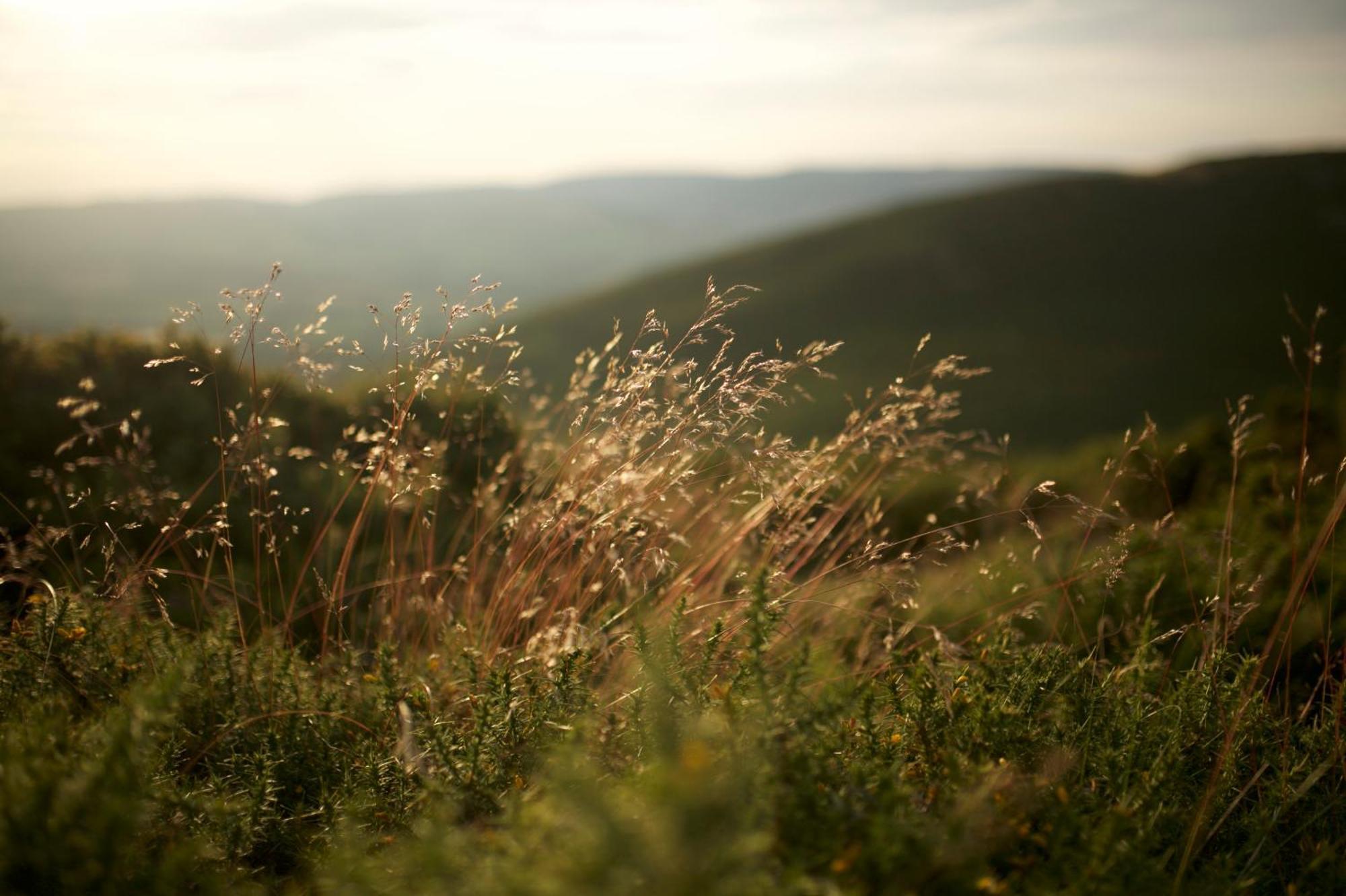 Two Unique Cabins Wrapped In Beautiful Welsh Scenery Presteigne Екстериор снимка